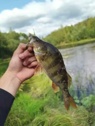 Рыбалка — фото 1