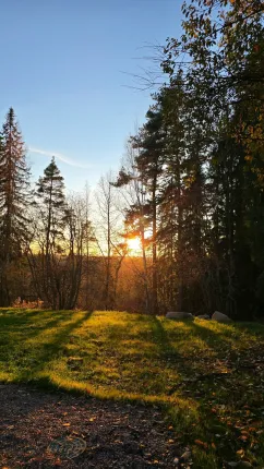 Someroya — фото