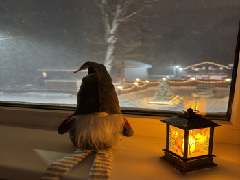 Шале с панорамными окнами — фото 2