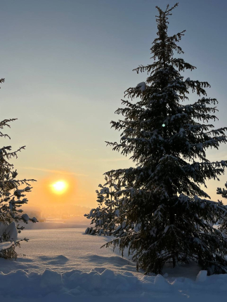 Гордеево-Парк — фото