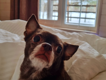 Дом — фото 10