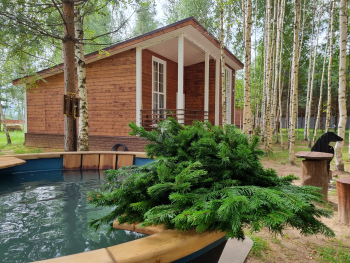 Коттедж — фото 2