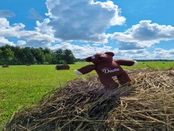 Дом — фото 11