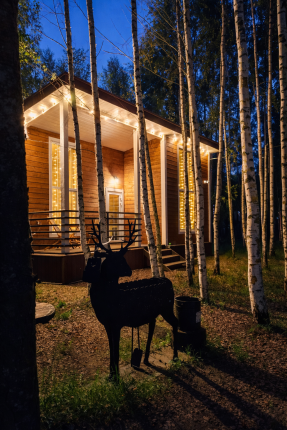 ДАЧА НА РЫБИНСКОМ МОРЕ — фото