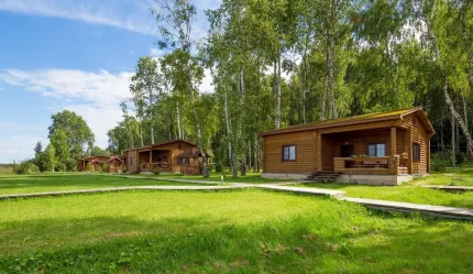 Белая цапля — фото