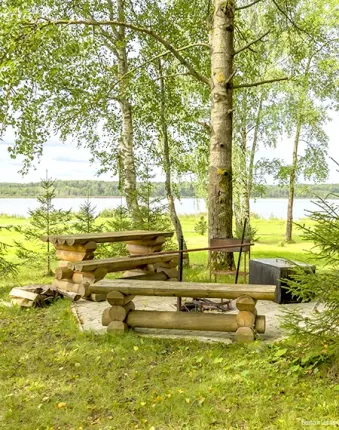 Белая цапля — фото