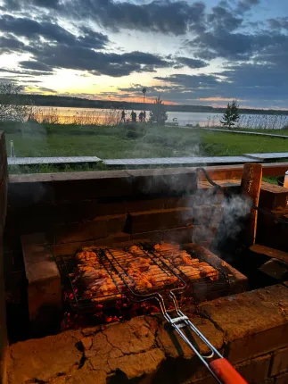 Белая цапля — фото