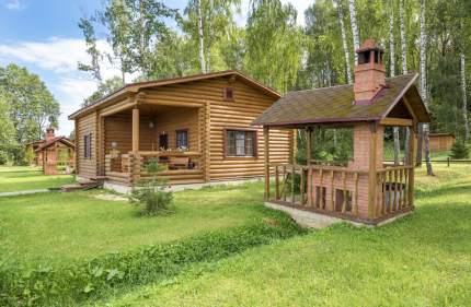 Белая цапля — фото