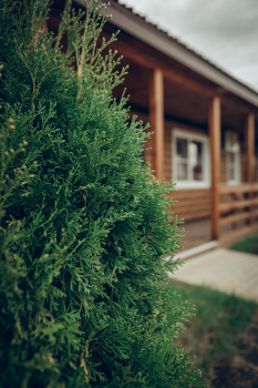 Семейные номер 1 — фото 16