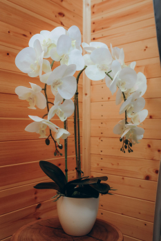 Семейные номер 3 — фото 4