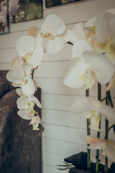 Гостевой VIP дом — фото 6