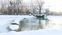 Водоем — фото 1