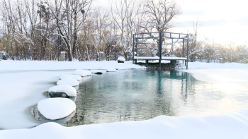 Малый двухкомнатный  — фото 10