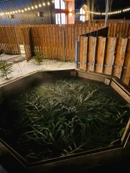 Горячий чан — фото 3