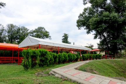 Светлячок — фото