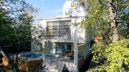 Светлячок — фото