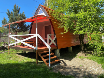 Светлячок — фото