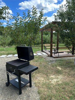 13 Apparadise — фото 6