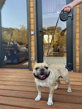 2 A-frame — фото 11