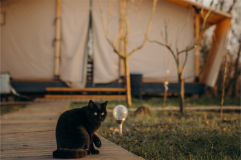 6 Family-tent — фото 16