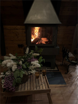 1 A-frame — фото 15