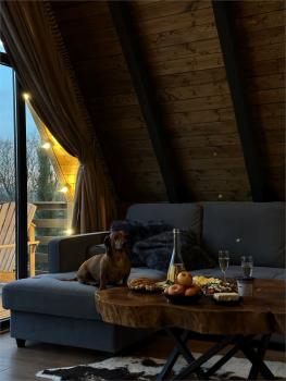 1 A-frame — фото 6