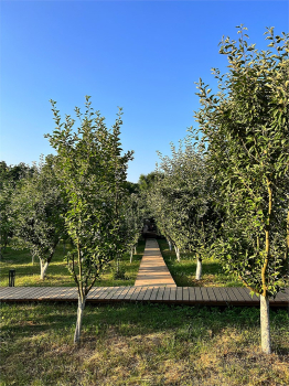 1 A-frame — фото 10