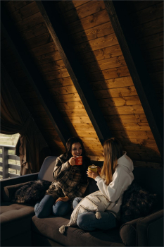 4  A-frame — фото 10