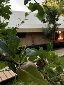 5  Tent-house (с фурако) — фото 25