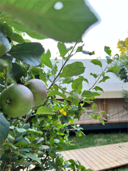 10  Tent-house (с фурако) — фото 22