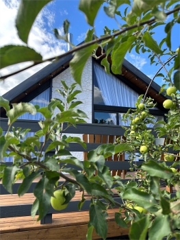 12 Apparadise — фото 2