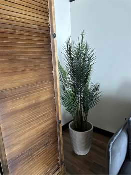 12 Apparadise — фото 16