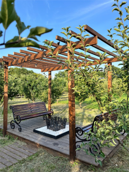 12 Apparadise — фото 8