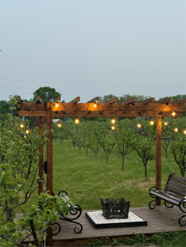 13 Apparadise — фото 4