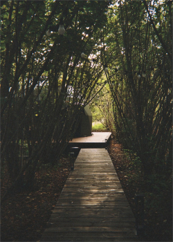 21 Forest-house — фото 15