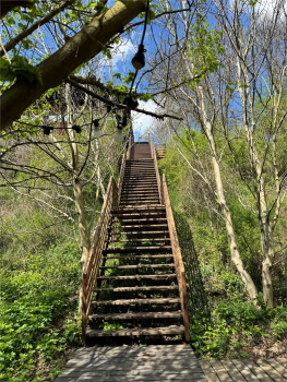 20  Forest-house — фото 28