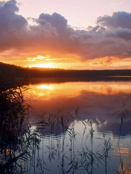 Водоем — фото 5