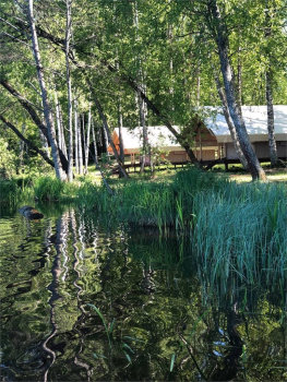 Глэмпинг — фото 8