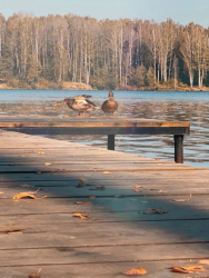 Водоем — фото 2