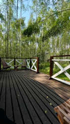 Баня — фото 2