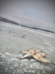 Рыбалка — фото 1