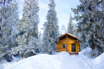 Коттедж стандарт — фото 24