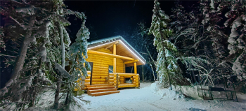 Бревенчатый дом — фото 17