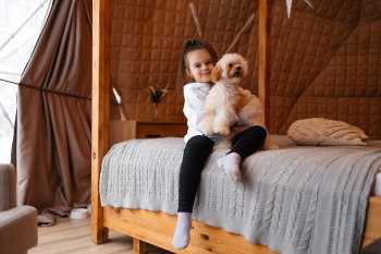 Всесезонный глэмпинг — фото 2