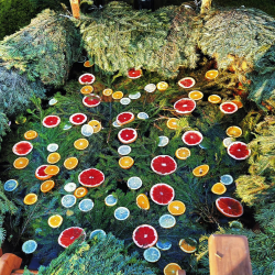 Горячий чан — фото 1