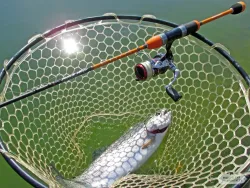 Рыбалка — фото 1