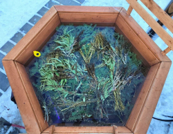 Горячий чан — фото 2