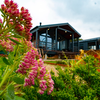 Lato-65 Plus — фото 1