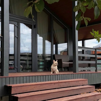 Lato-85 Plus — фото 3