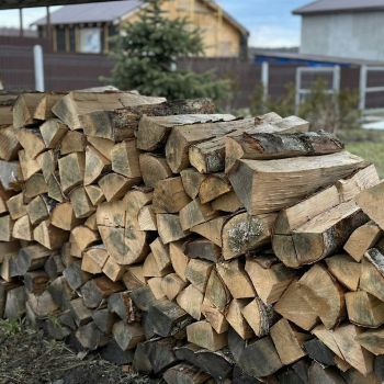 Lato-65 — фото 12